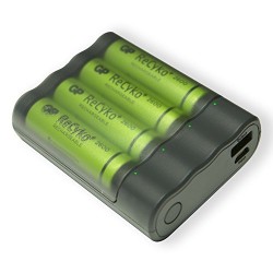 Powerbank e Caricabatterie AA 2 in 1, GPX411